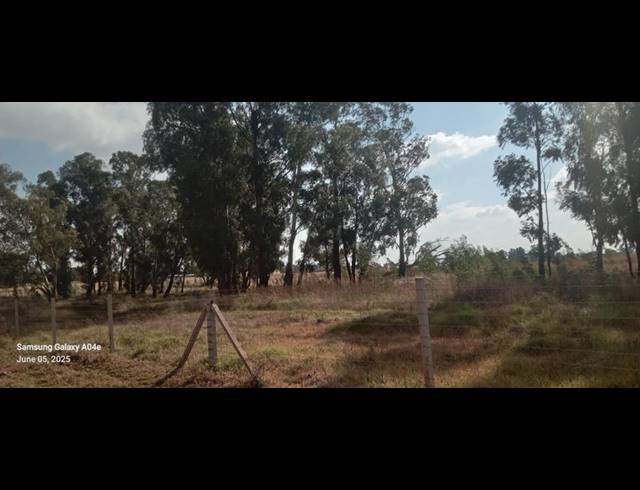 LAND FOR SALE IN ELOFF